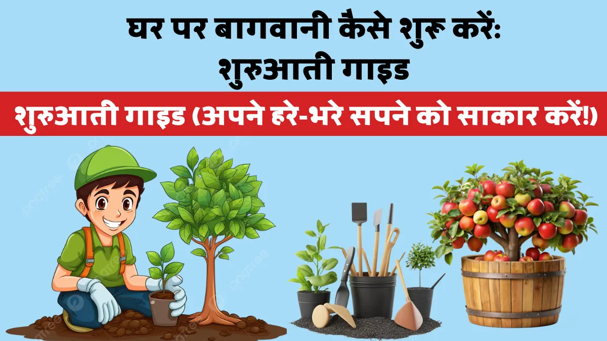 घर पर बागवानी कैसे शुरू करें? शुरुआती के लिए पूरी गाइड