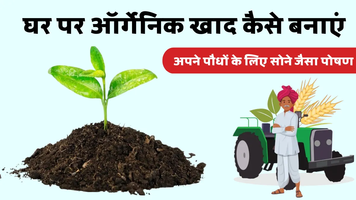 घर पर ऑर्गेनिक खाद कैसे बनाएं: सबसे आसान तरीका और फायदे
