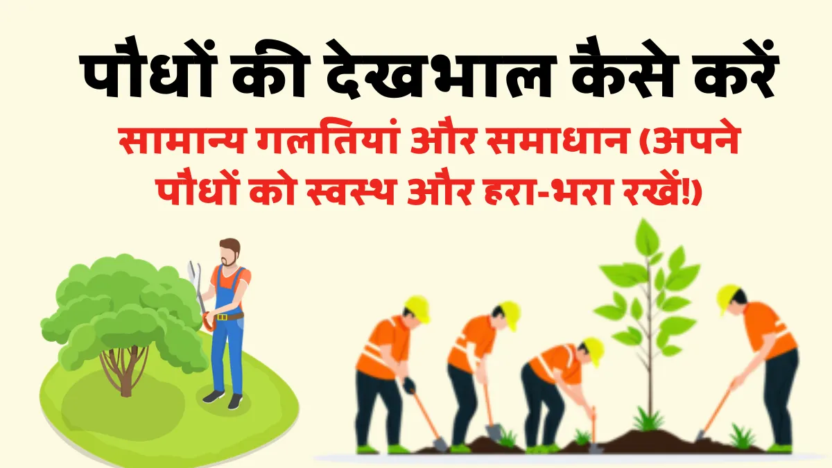 पौधों की देखभाल कैसे करें? सामान्य गलतियाँ और उनके समाधान